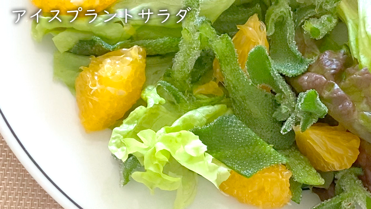 アイスプラントサラダ シーザー風 サラダレシピ 74ice Plant Salad Recipe